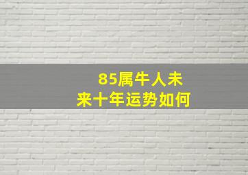 85属牛人未来十年运势如何