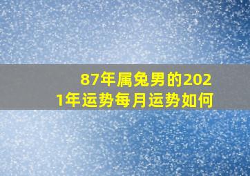 87年属兔男的2021年运势每月运势如何