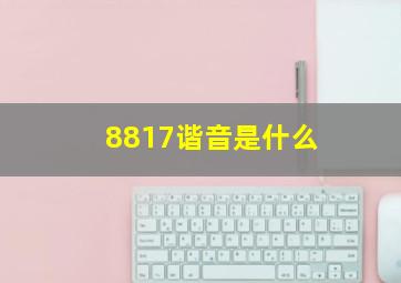 8817谐音是什么