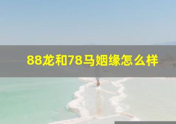 88龙和78马姻缘怎么样