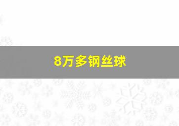 8万多钢丝球