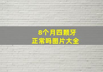 8个月四颗牙正常吗图片大全