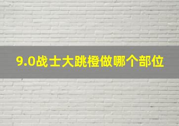 9.0战士大跳橙做哪个部位