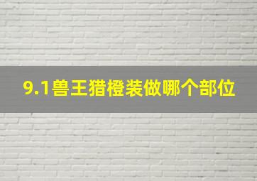 9.1兽王猎橙装做哪个部位