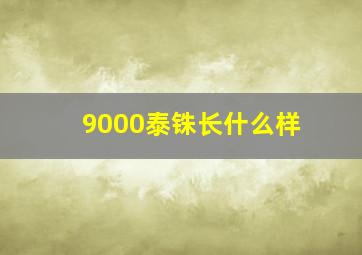 9000泰铢长什么样