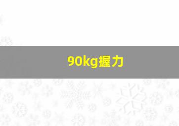 90kg握力