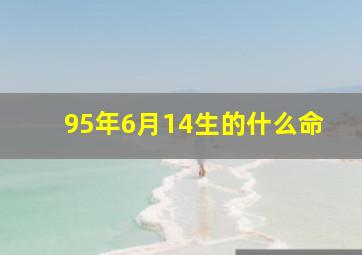 95年6月14生的什么命