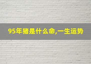 95年猪是什么命,一生运势