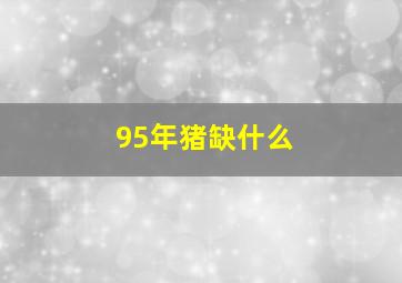 95年猪缺什么