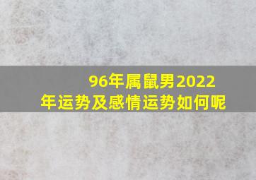 96年属鼠男2022年运势及感情运势如何呢