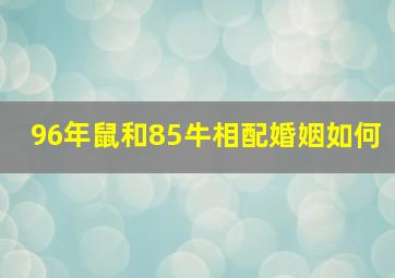 96年鼠和85牛相配婚姻如何