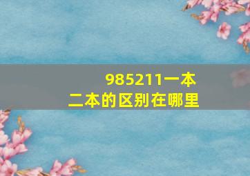 985211一本二本的区别在哪里