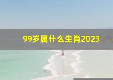 99岁属什么生肖2023