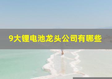 9大锂电池龙头公司有哪些