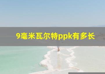 9毫米瓦尔特ppk有多长