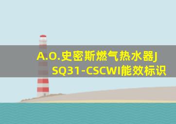 A.O.史密斯燃气热水器JSQ31-CSCWI能效标识