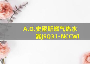 A.O.史密斯燃气热水器JSQ31-NCCWi