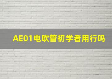 AE01电吹管初学者用行吗