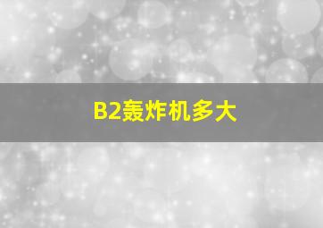 B2轰炸机多大