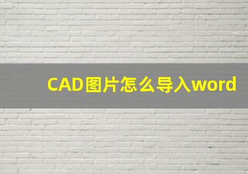 CAD图片怎么导入word