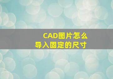 CAD图片怎么导入固定的尺寸