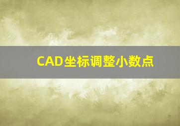 CAD坐标调整小数点