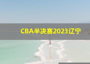 CBA半决赛2023辽宁