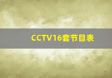 CCTV16套节目表