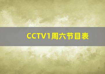 CCTV1周六节目表