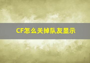 CF怎么关掉队友显示