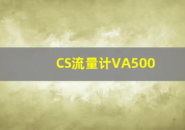 CS流量计VA500