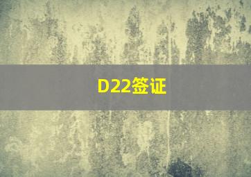 D22签证