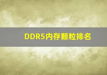 DDR5内存颗粒排名