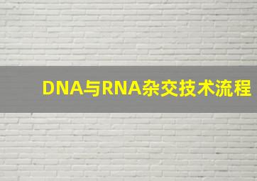 DNA与RNA杂交技术流程