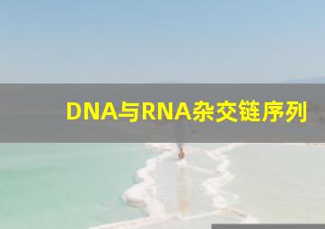 DNA与RNA杂交链序列