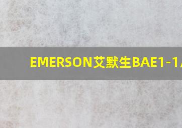 EMERSON艾默生BAE1-1/2ZAA