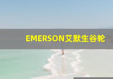 EMERSON艾默生谷轮