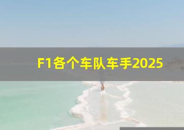 F1各个车队车手2025