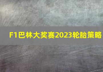 F1巴林大奖赛2023轮胎策略