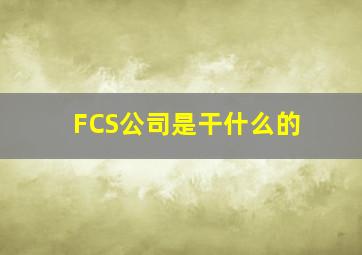 FCS公司是干什么的