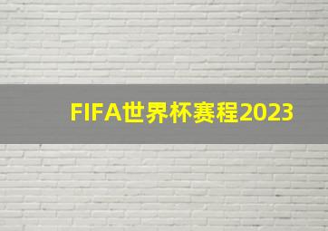 FIFA世界杯赛程2023