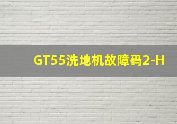 GT55洗地机故障码2-H