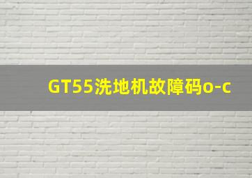 GT55洗地机故障码o-c