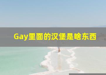 Gay里面的汉堡是啥东西