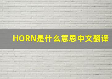 HORN是什么意思中文翻译