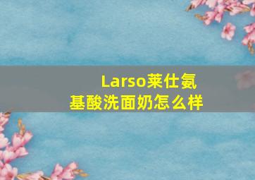 Larso莱仕氨基酸洗面奶怎么样