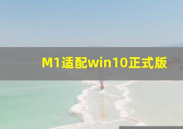 M1适配win10正式版