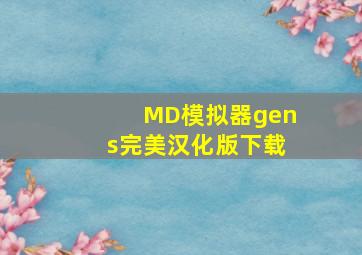 MD模拟器gens完美汉化版下载