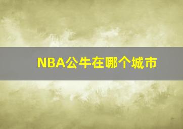 NBA公牛在哪个城市