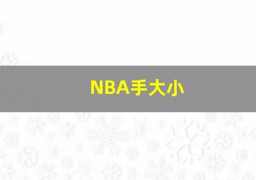 NBA手大小